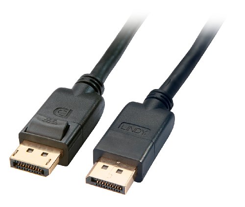 LINDY 41633 - DisplayPort Kabel mit Vergoldeten Premiumsteckern - Tonsignale bis zu allerhöchsten Auflösungen 1080p, 1600p, 4K – 5 m